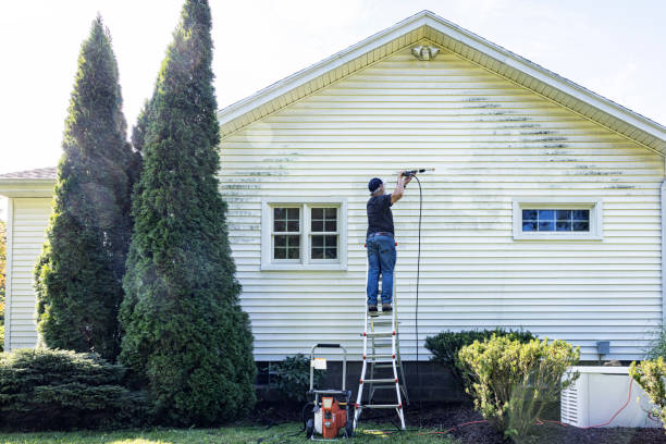 Best Pressure Washing Brick  in Muncy, PA